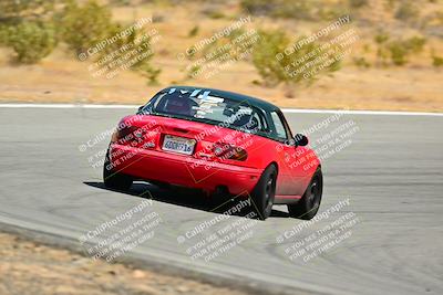 media/Jun-01-2025-VIP Trackdays (Sun) [[b20349723e]]/B Group/Session 2 (Turns 7 and 8)/